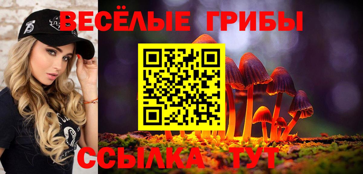 Псилоцибиновые грибы Magic Shrooms  Вход с VPN  Кудрово 