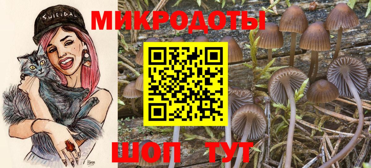Псилоцибиновые грибы мухоморы Кудрово